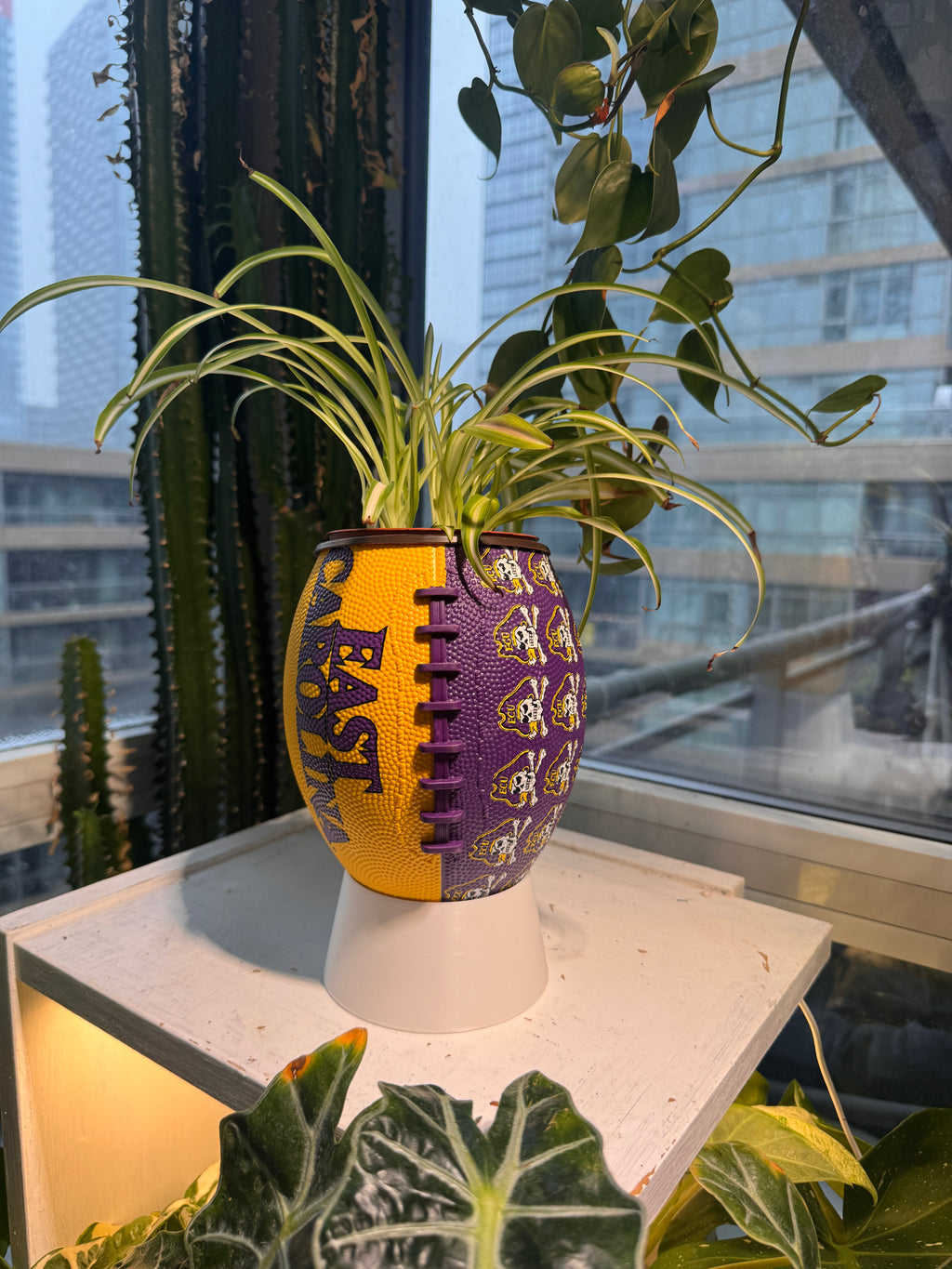 Mini Football Planter (East Carolina University Pirates)
