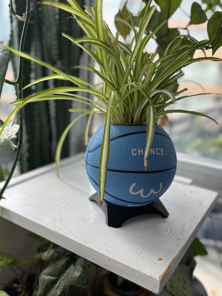 Ultra-Mini Basketball Planter (Penguin)