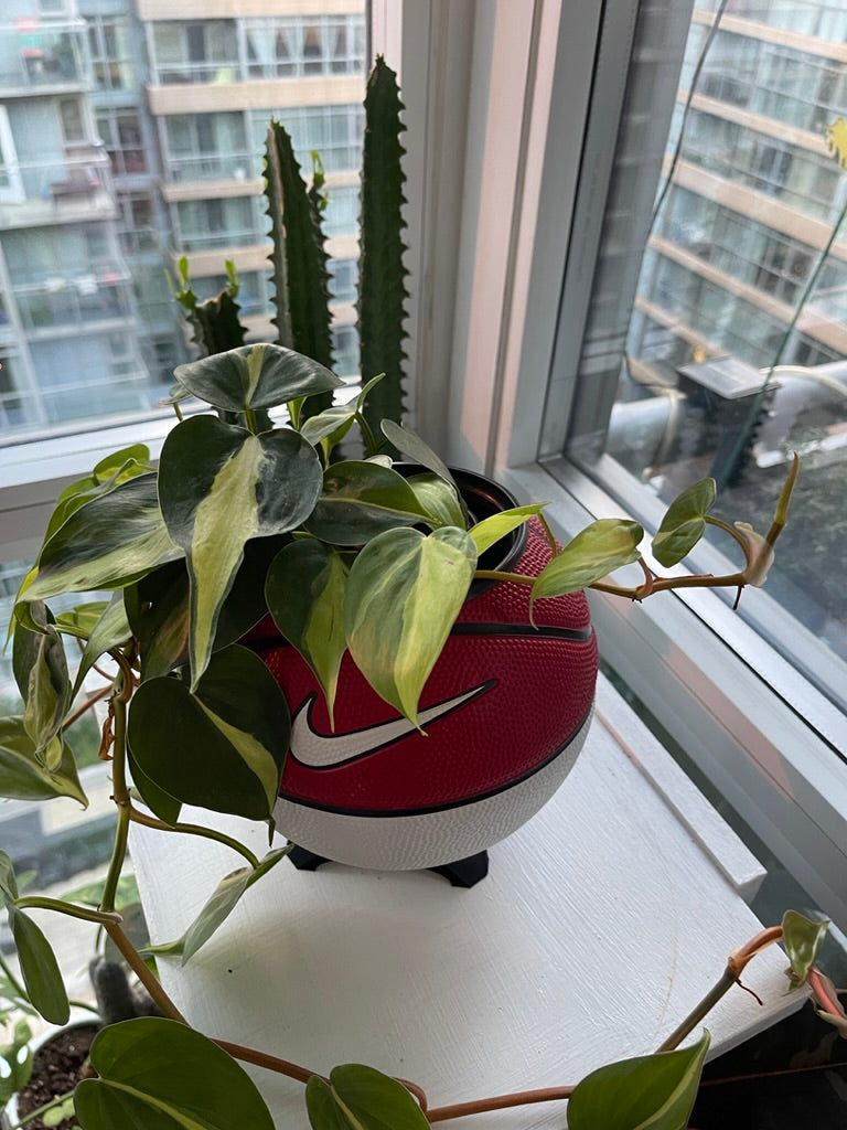 Nike Mini Basketball Planter (Red & White)