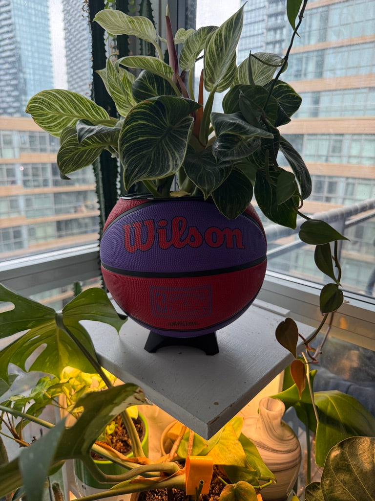 Large Basketball Planter (Toronto Raptors)
