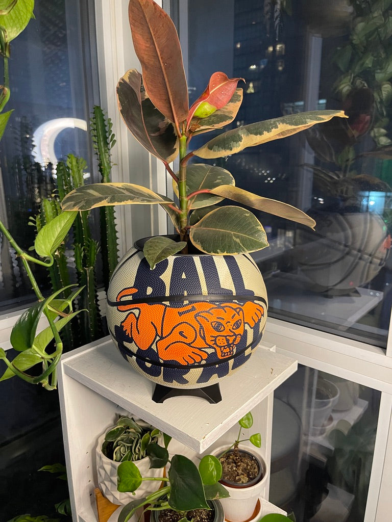 Nike Large Basketball Planter (Ball For All White)