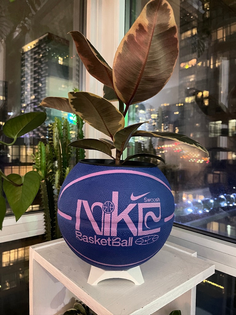 Nike Large Basketball Planter (Blueberry)