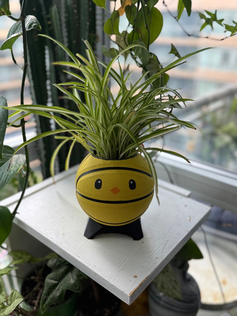 Ultra-Mini Basketball Planter (Chicken)