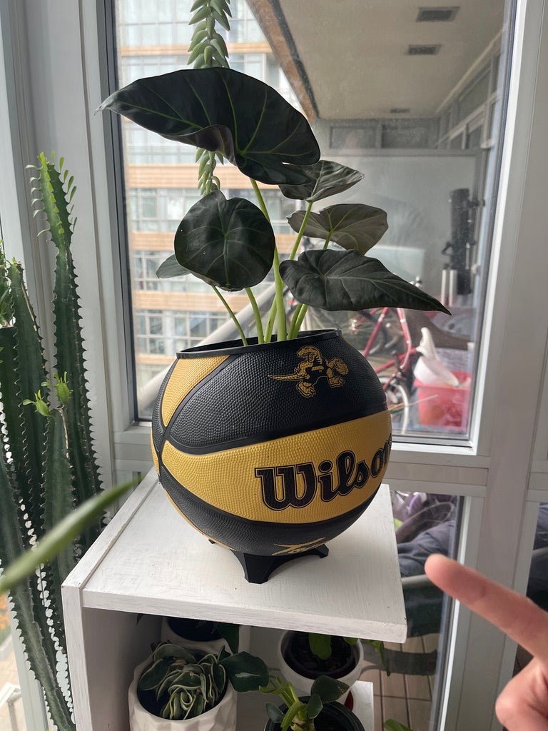 Large Basketball Planter (Toronto Raptors Gold Mascot)
