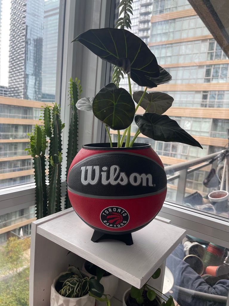 Large Basketball Planter (Toronto Raptors)