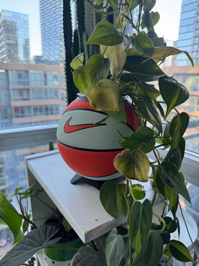 Nike Mini Basketball Planter (Teal Splash)