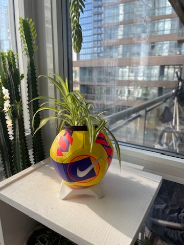 Nike Mini Soccer Ball Planter (Yellow Pitch)