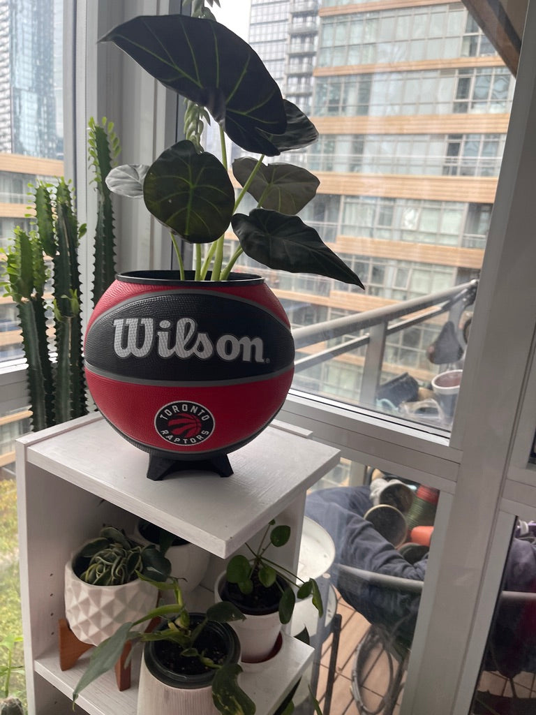 Large Basketball Planter (Toronto Raptors)