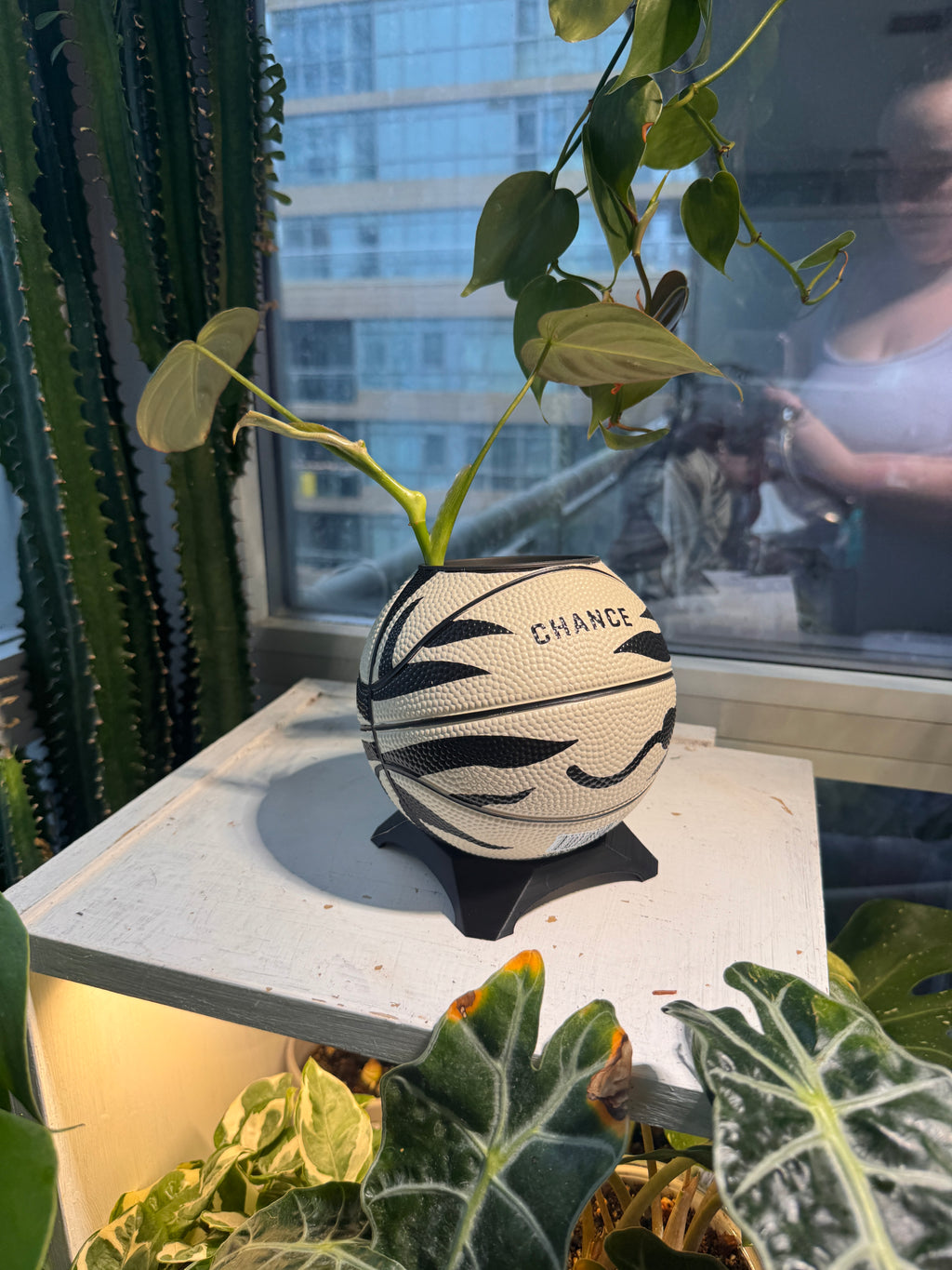 Ultra-Mini Basketball Planter (Zebra)
