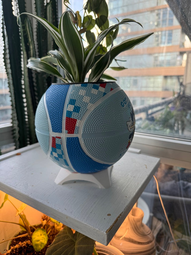Mini Basketball Planter (Sonic the Hedgehog)