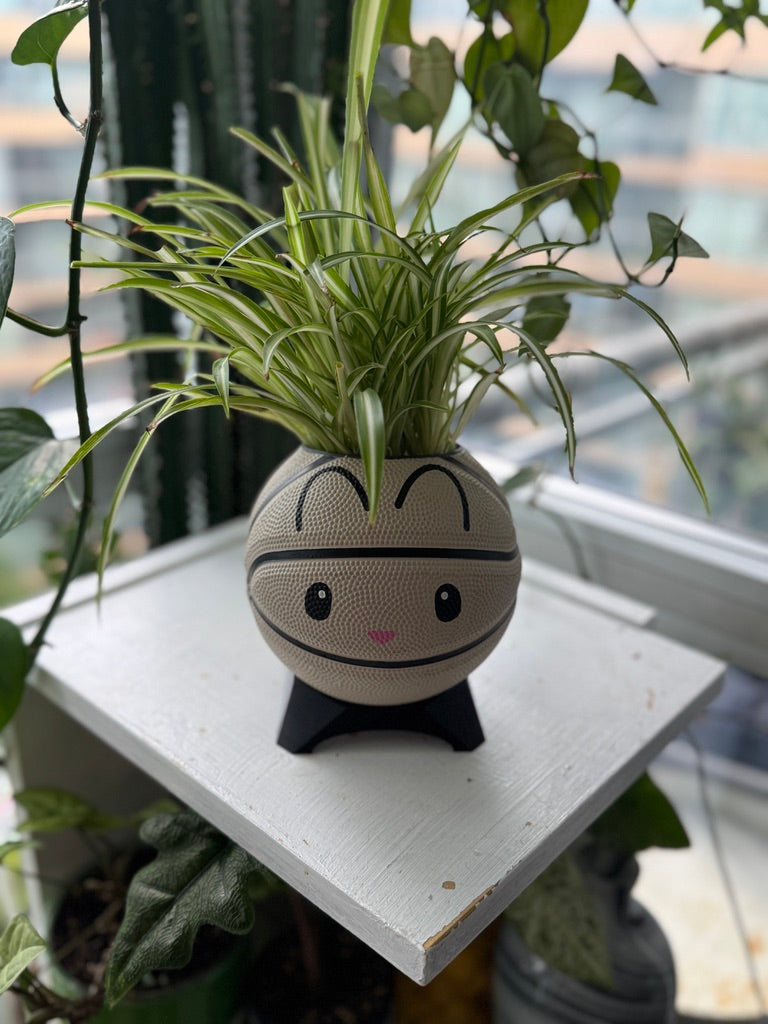 Ultra-Mini Basketball Planter (Bunny)