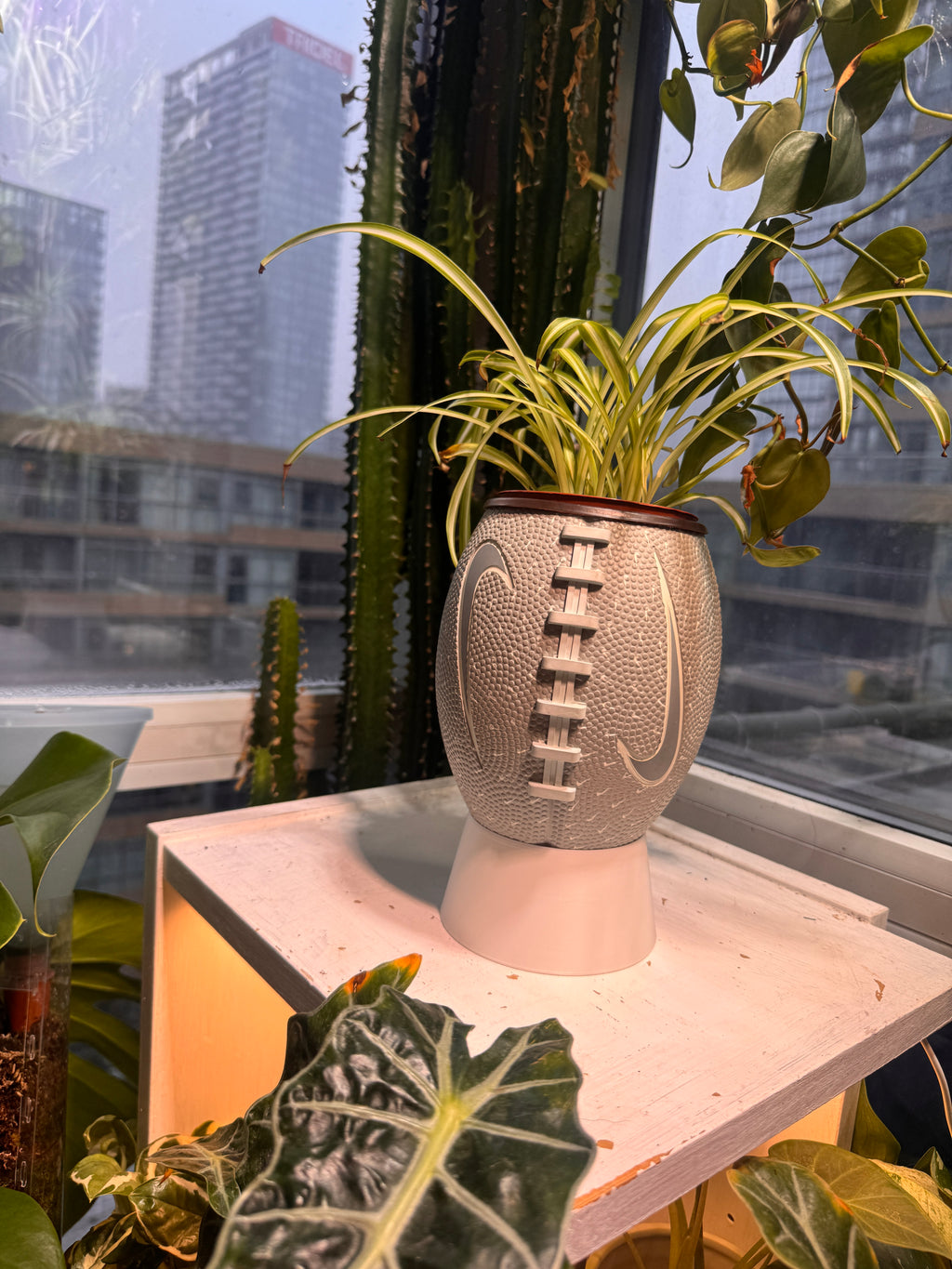 Nike Mini Football Planter (Grey)