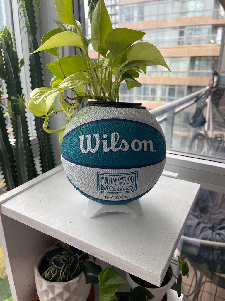 Mini Basketball Planter (Charlotte Hornets)