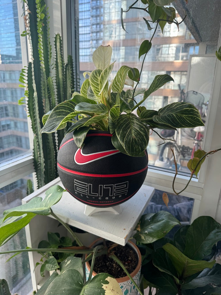 Nike Large Basketball Planter (Black & Red Elite)