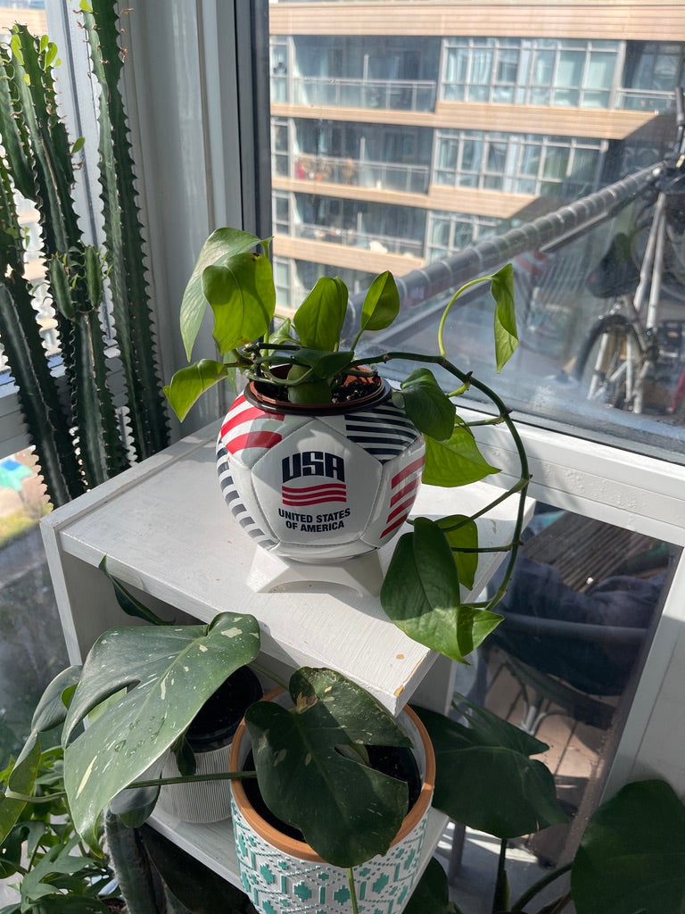 Mini Soccer Ball Planter (USA)