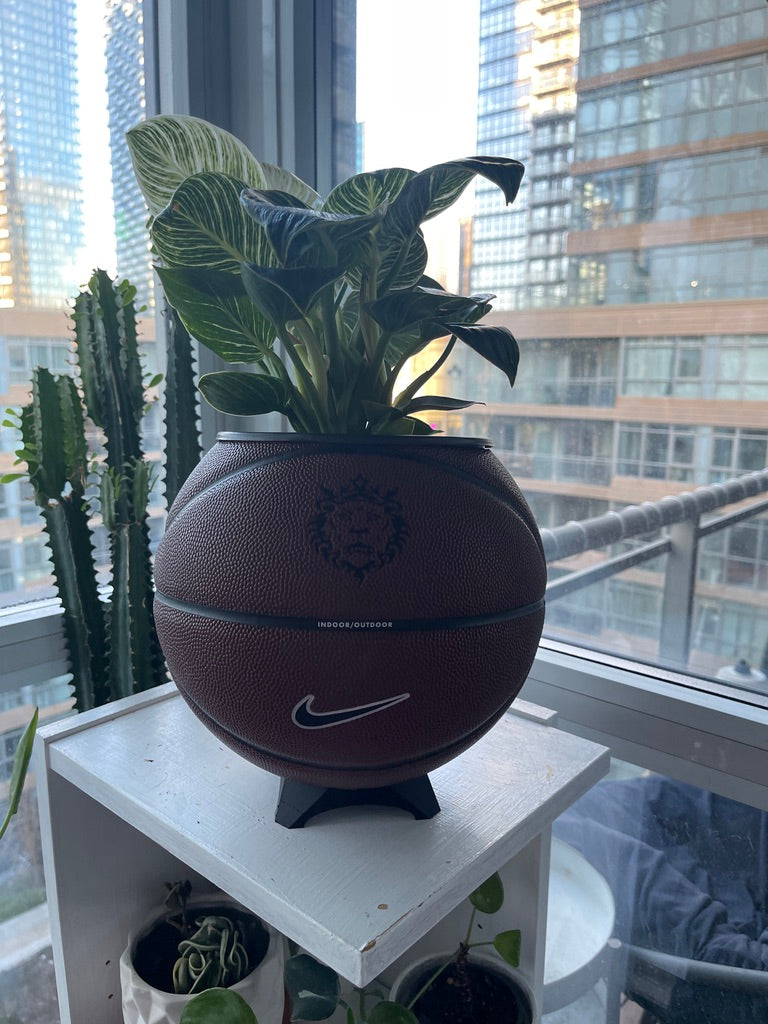 Nike Large Basketball Planter (LeBron Brown)