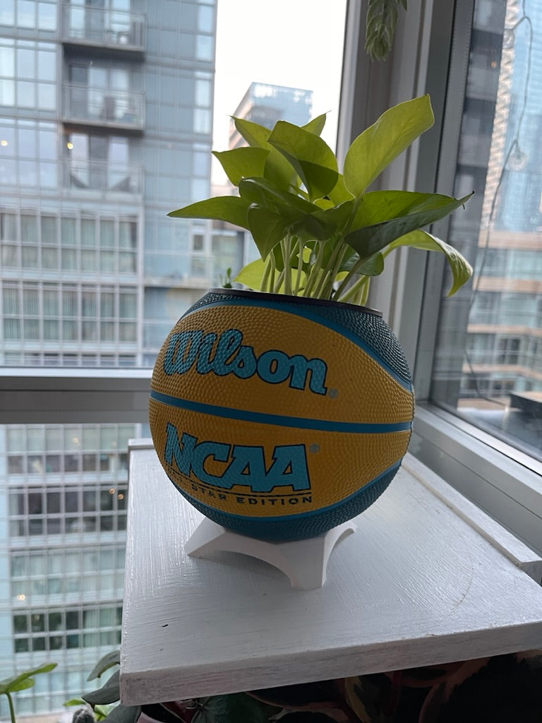 Mini Basketball Planter (NCAA Yellow)