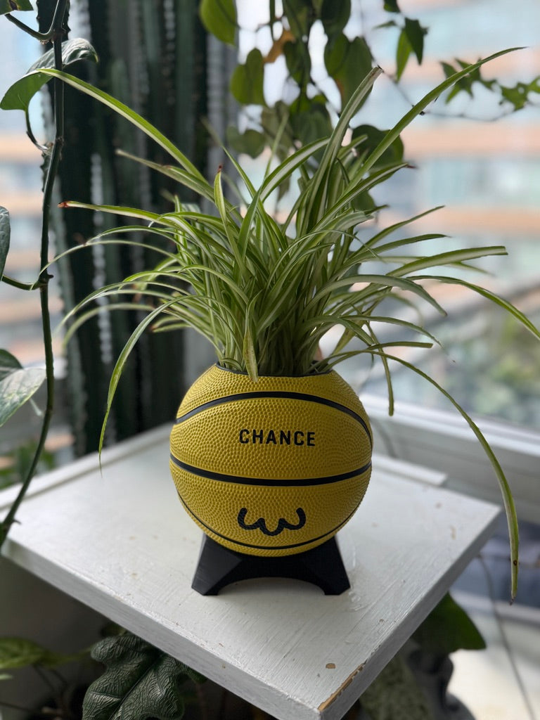 Ultra-Mini Basketball Planter (Chicken)