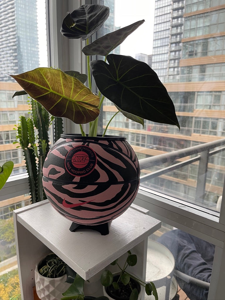 Nike Large Basketball Planter (Pink Zebra)