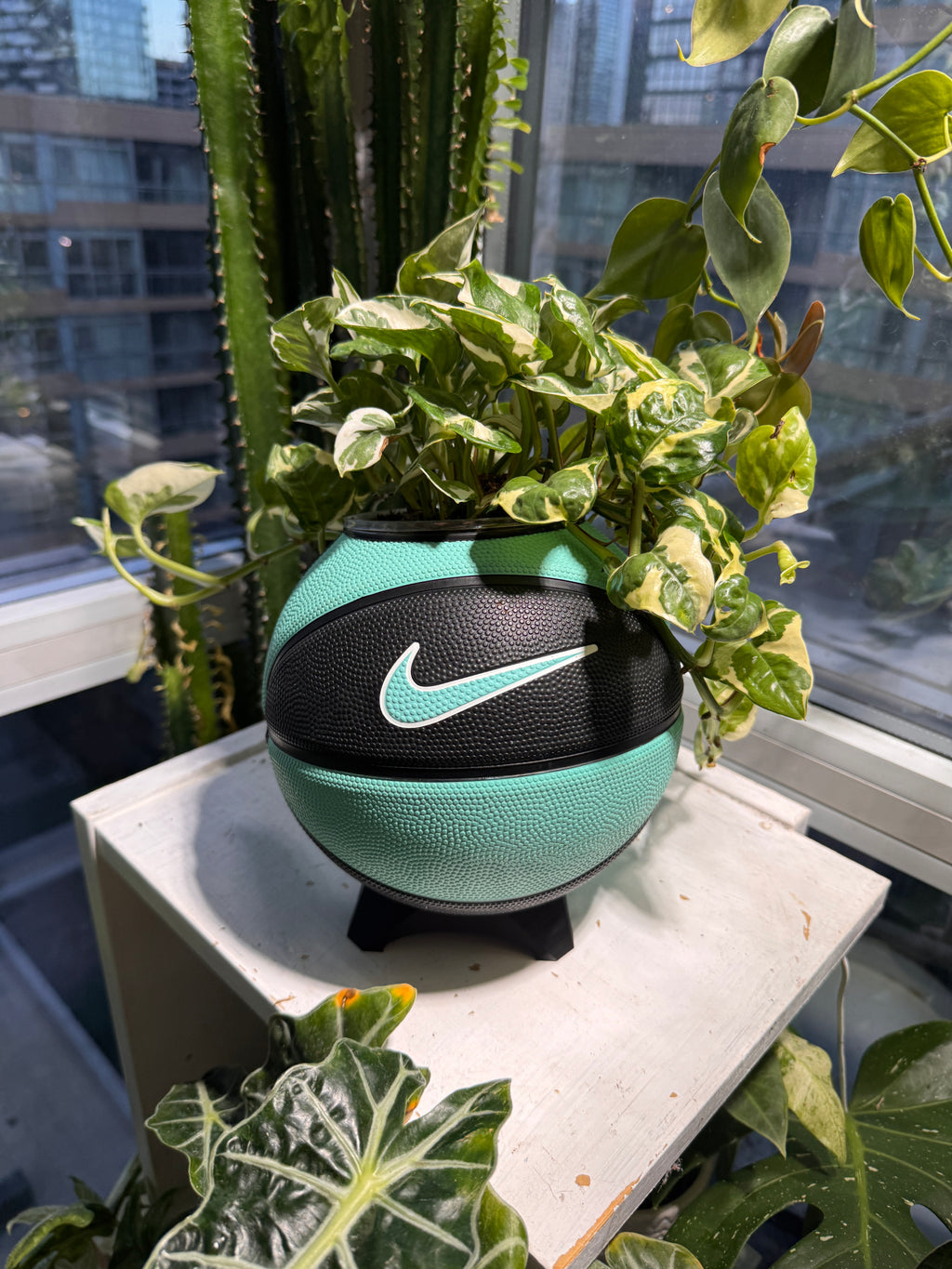 Nike Mini Basketball Planter (Tiff Blue & Black)