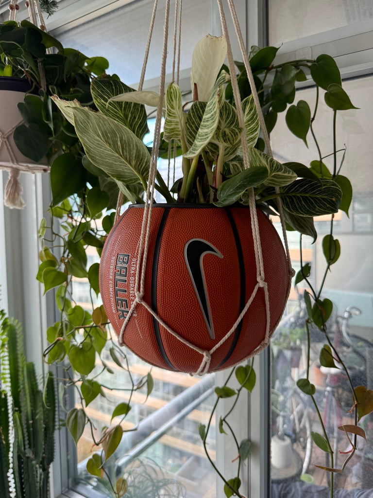 Nike Large Basketball Hanging Planter (White Macrame - Original Reversed)