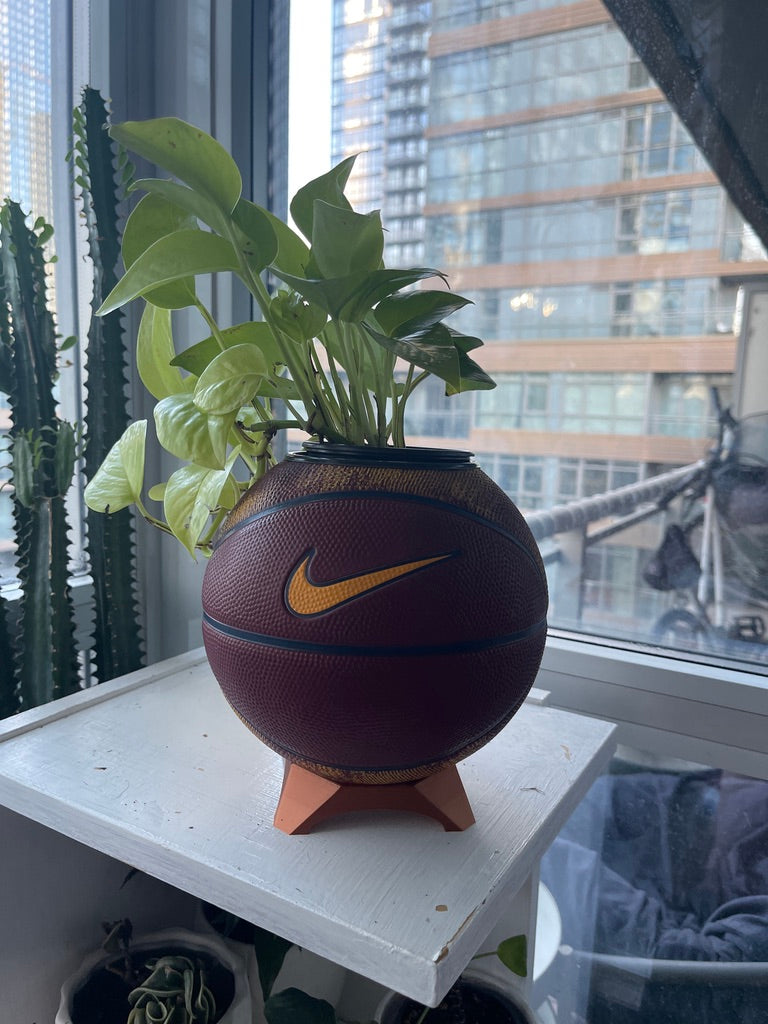 Nike Mini Basketball Planter (Lebron James)