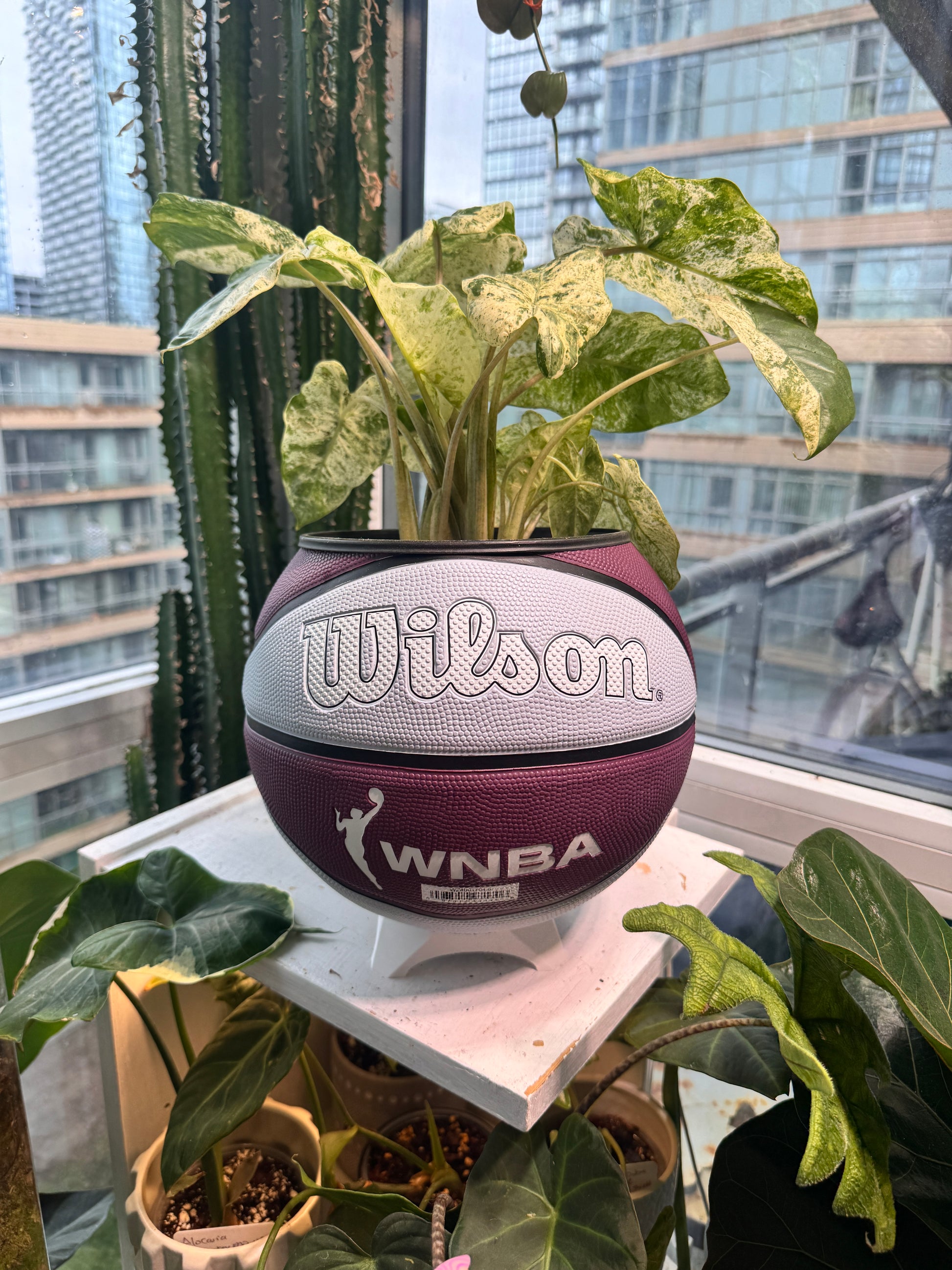Large Basketball Planter (WNBA Toronto Tempo)