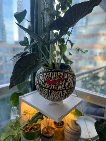 Nike Large Basketball Planter (Cheetah Zebra)