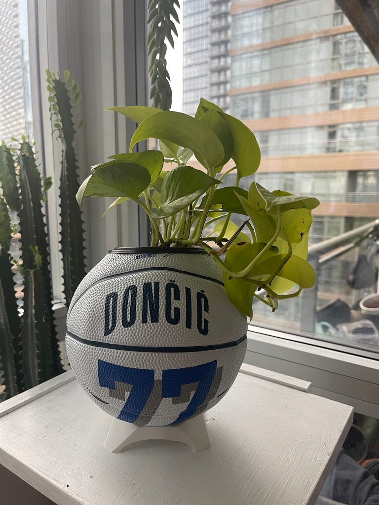 Mini Basketball Planter (Luka Doncic)