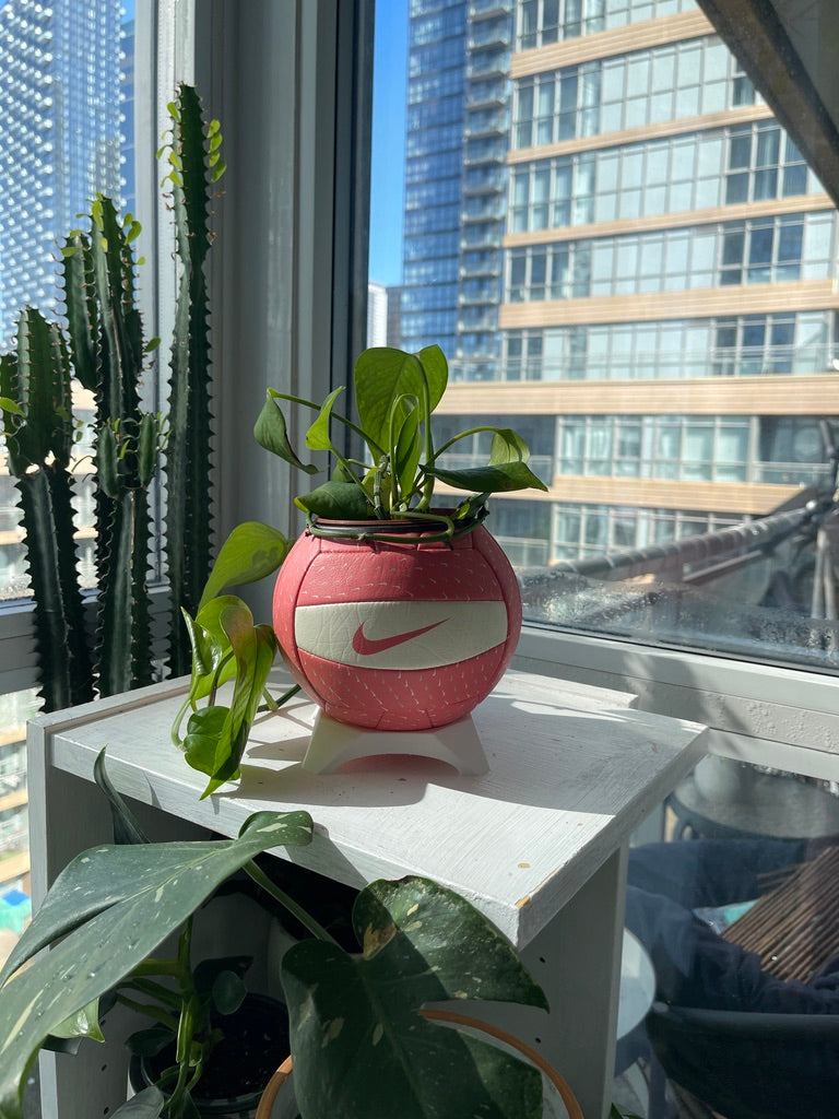 Nike Mini Volleyball Planter (Just Peachy)