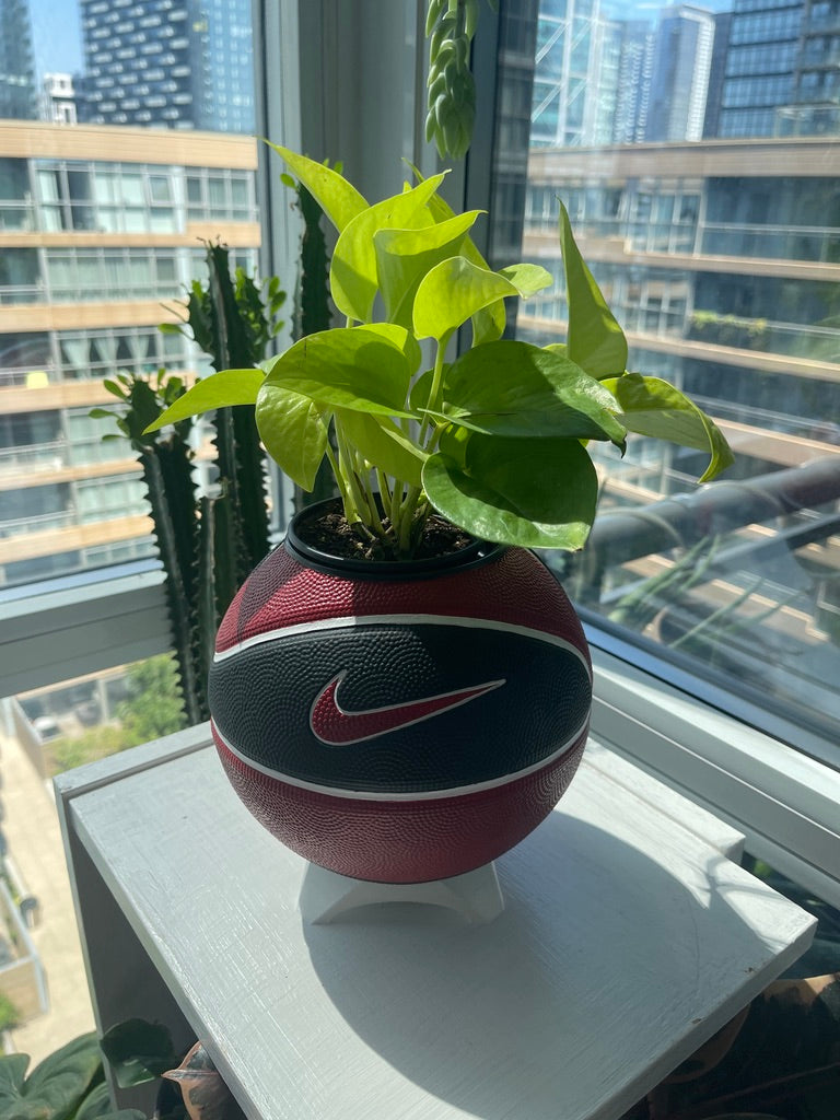 Nike Mini Basketball Planter (Red, White, & Black)