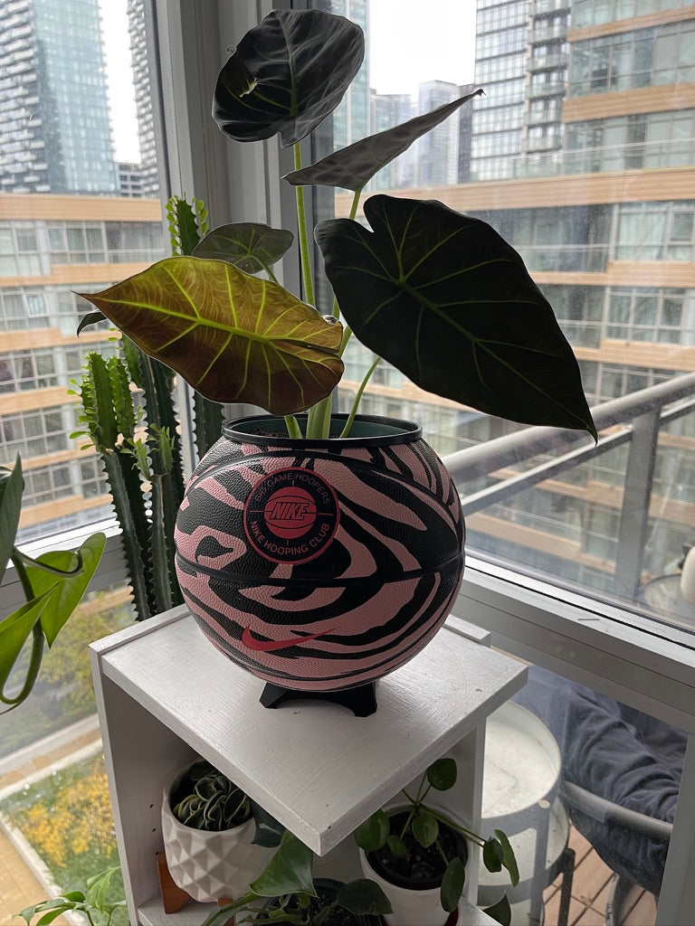 Nike Large Basketball Planter (Pink Zebra)