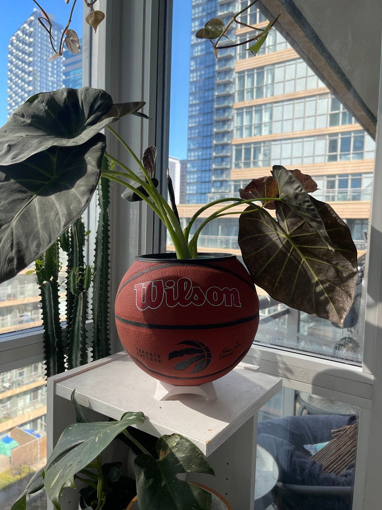 Large Basketball Planter (Toronto Raptors Original)