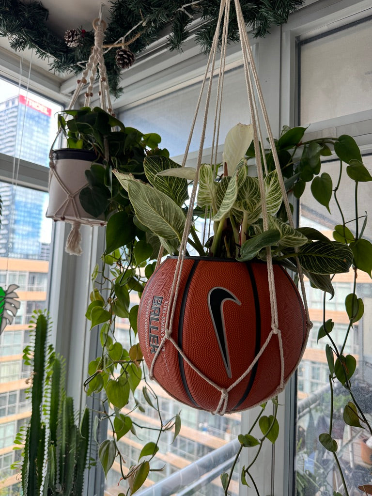Nike Large Basketball Hanging Planter (White Macrame - Original Reversed)