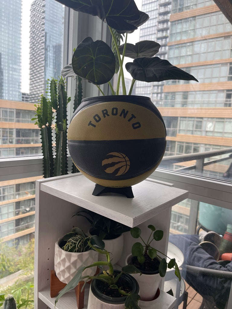 Large Basketball Planter (Toronto Raptors Gold)