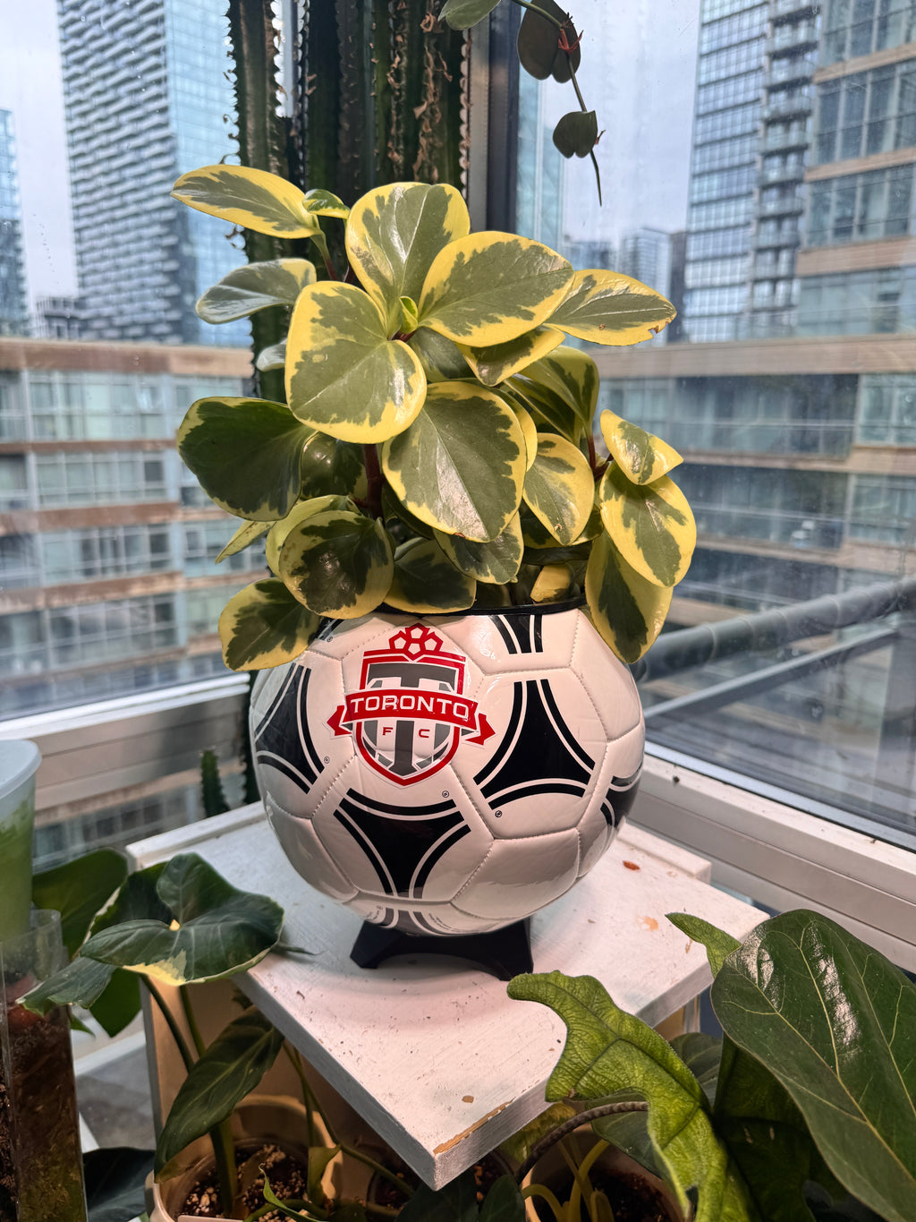 Large Soccer Ball Planter (Toronto FC)
