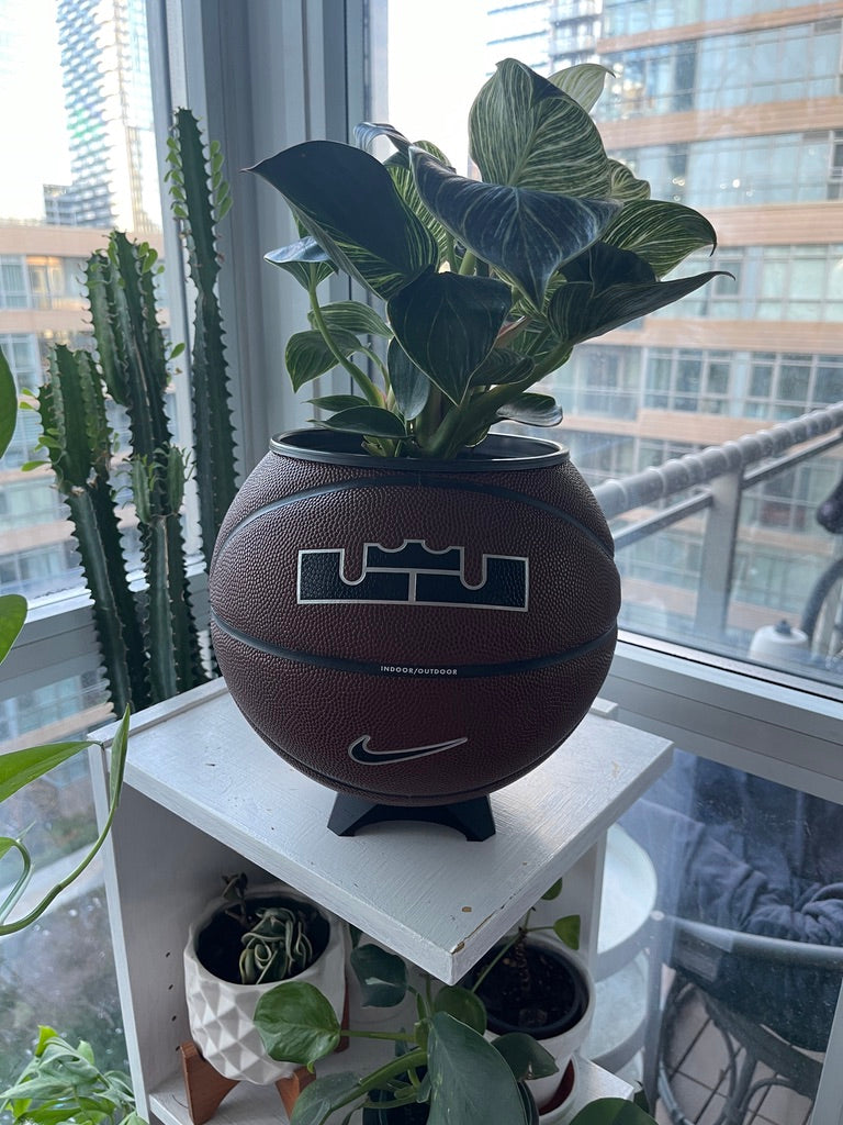 Nike Large Basketball Planter (LeBron Brown)