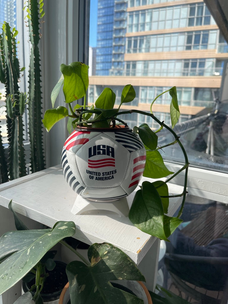 Mini Soccer Ball Planter (USA)