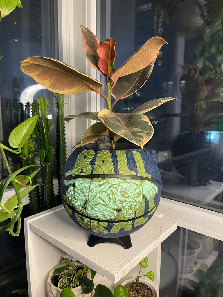 Nike Large Basketball Planter (Ball For All Blue)