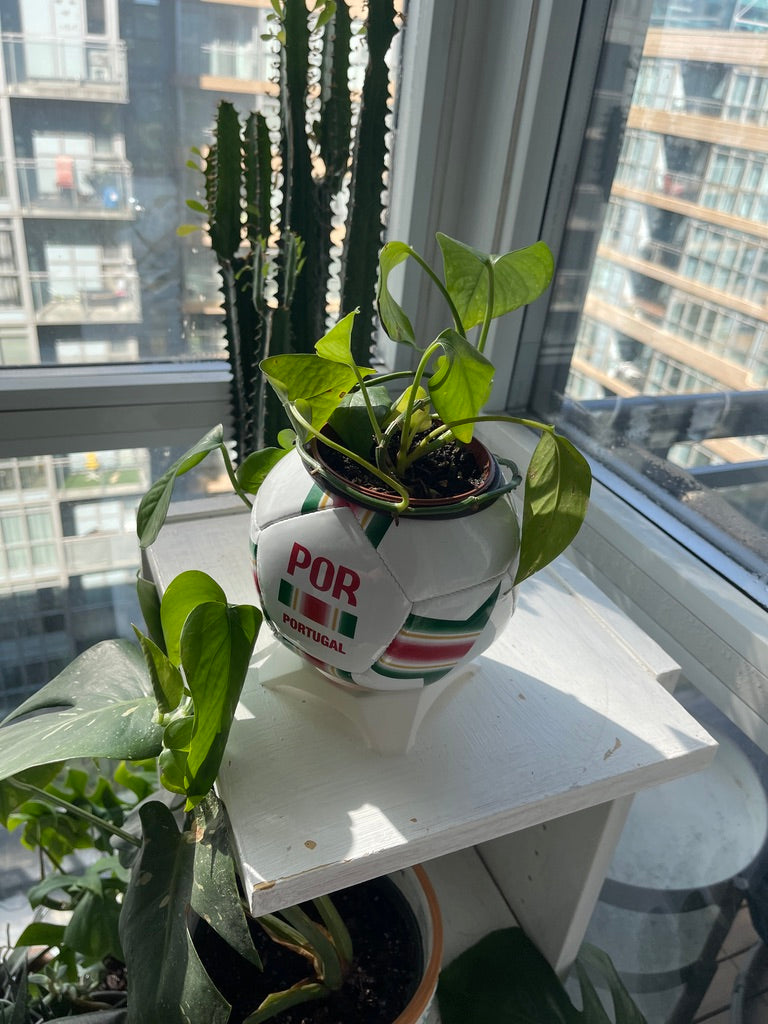 Mini Soccer Ball Planter (Portugal)