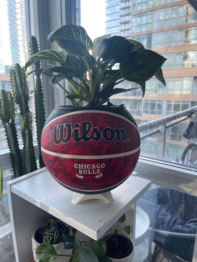 Large Basketball Planter (Chicago Bulls - Tie Dye)