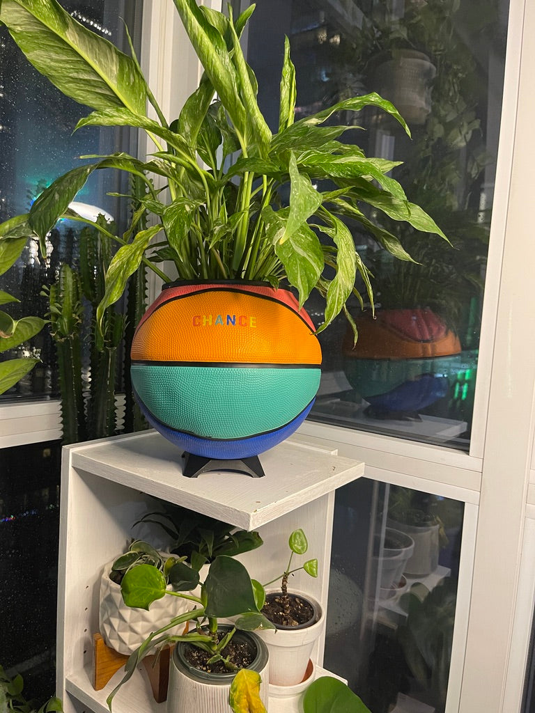 Large Basketball Planter (Chance - Rainbow)