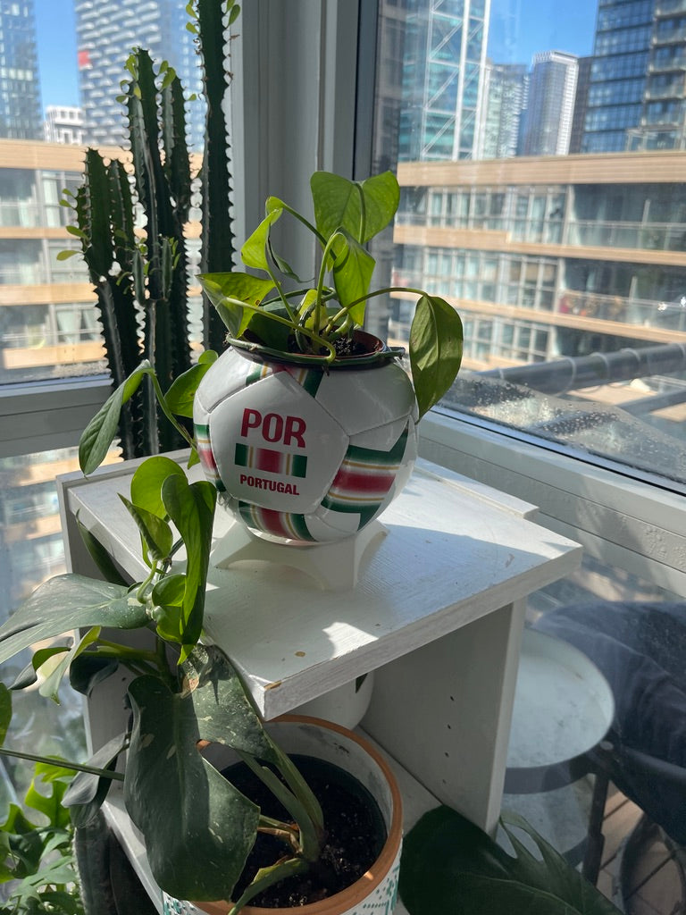 Mini Soccer Ball Planter (Portugal)