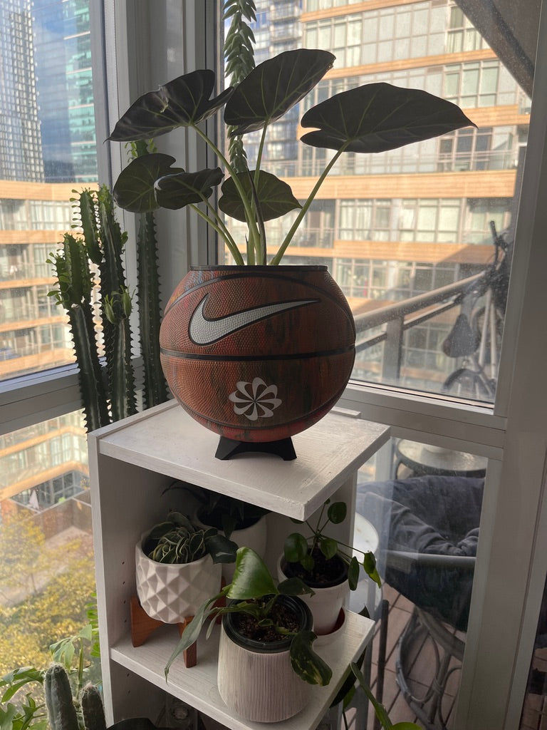 Nike Large Basketball Planter (The OG Graffiti)