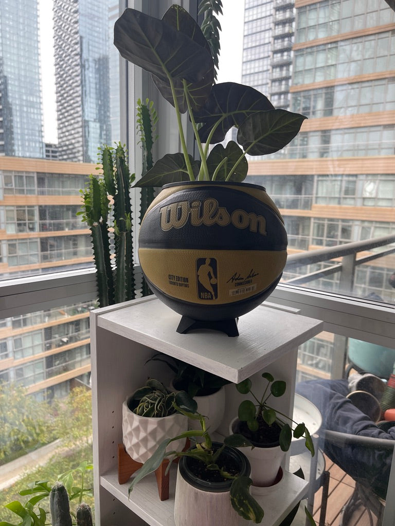 Large Basketball Planter (Toronto Raptors Gold)