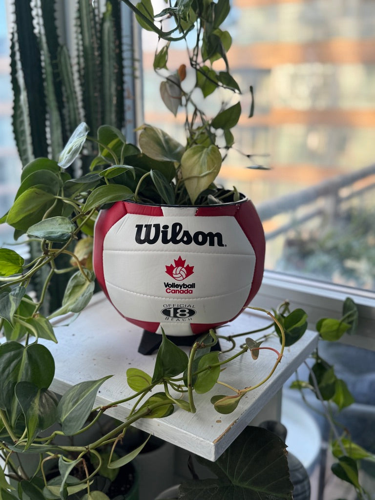 Large Volleyball Planter (Volleyball Canada)
