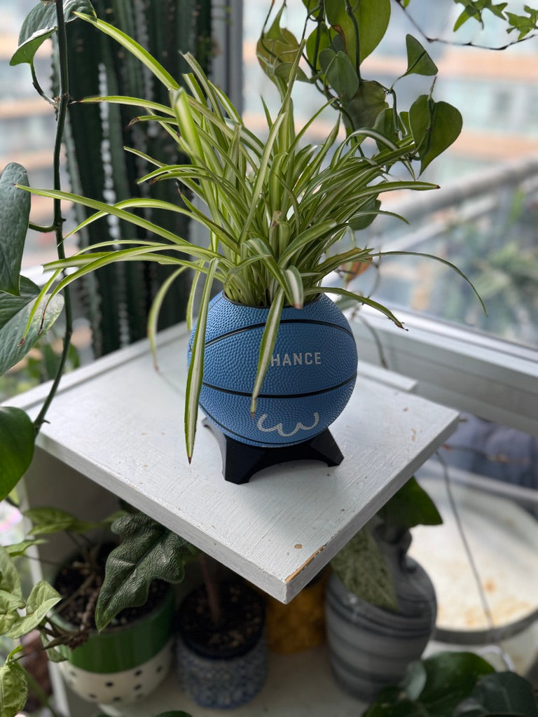 Ultra-Mini Basketball Planter (Penguin)