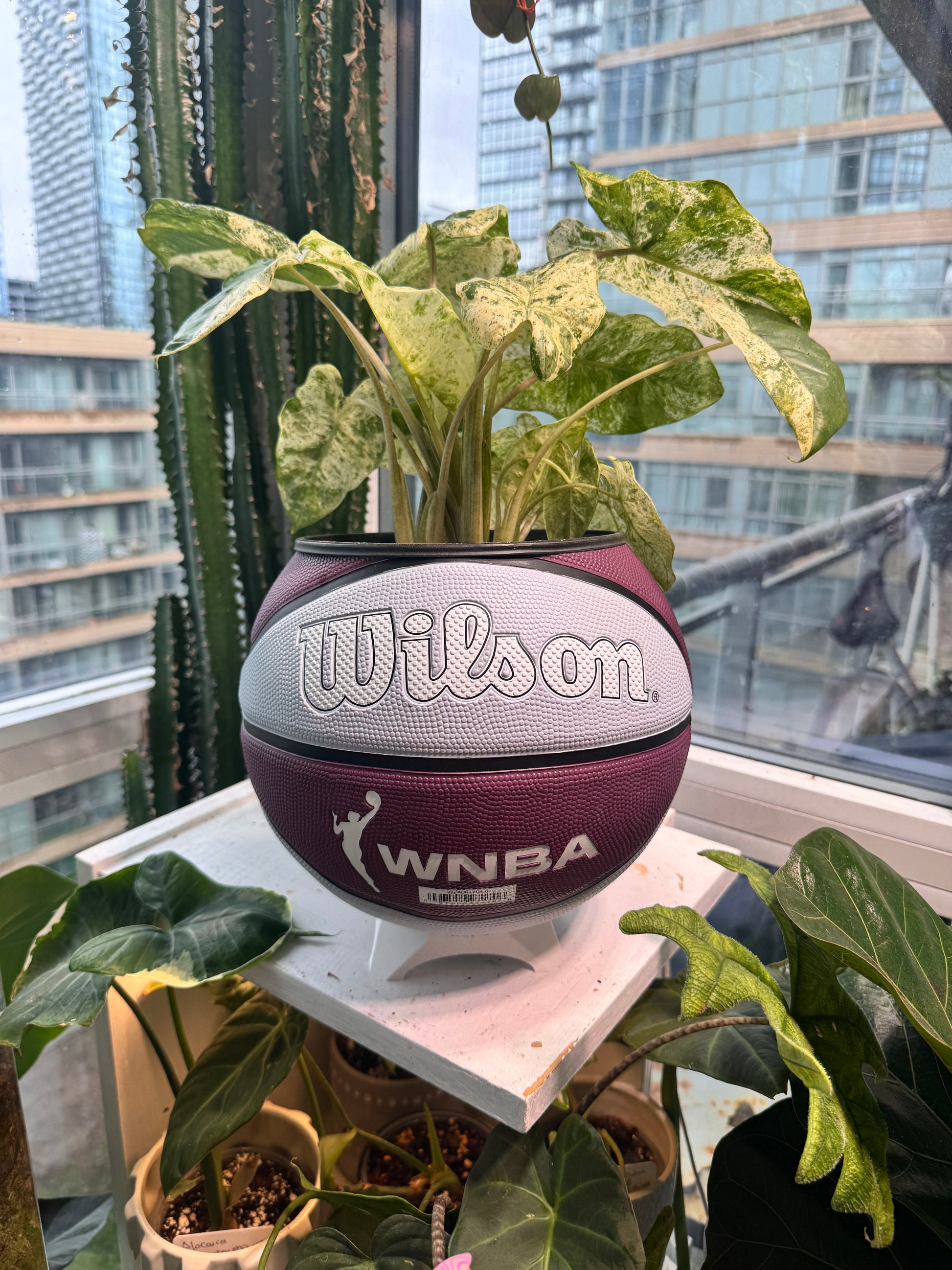 Large Basketball Planter (WNBA Toronto Tempo)