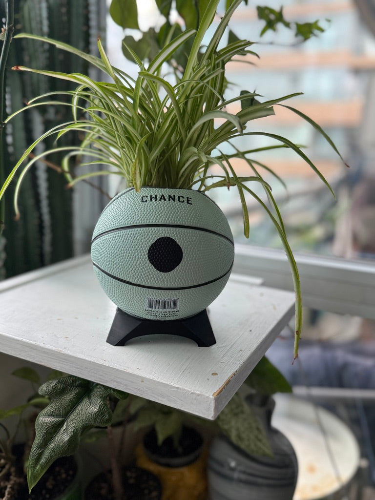 Ultra-Mini Basketball Planter (Mouse)