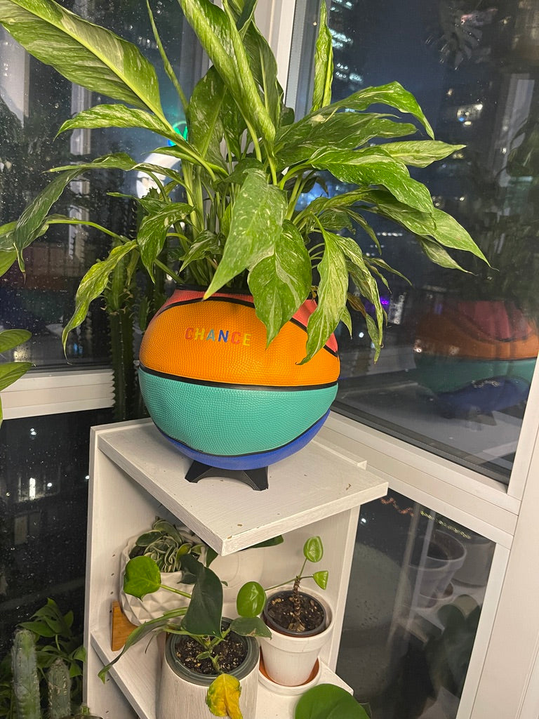 Large Basketball Planter (Chance - Rainbow)